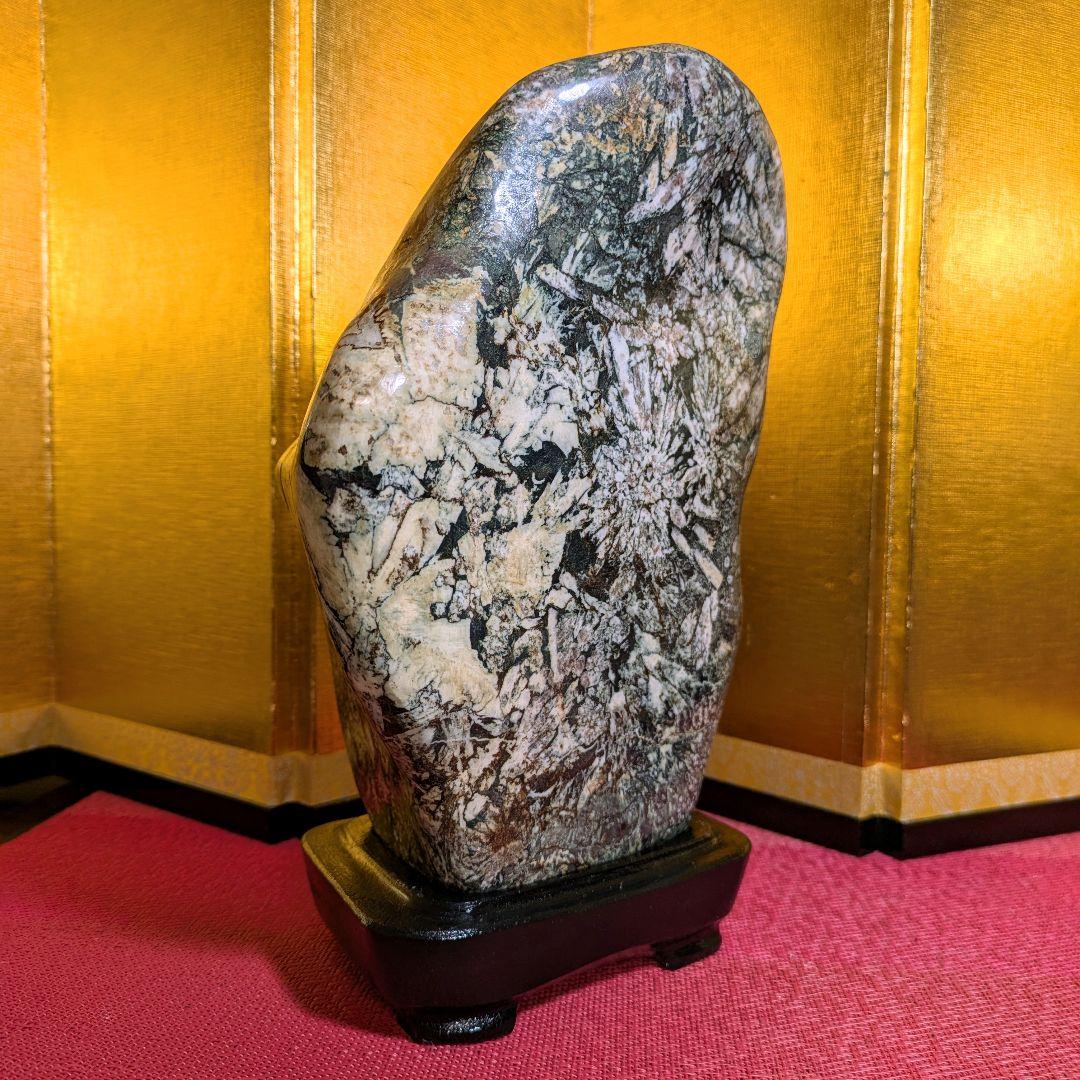 菊花石 縦横型 岐阜県根尾谷産4.8㌔ 鑑賞石 観賞石 水石 盆石 天然石 置物