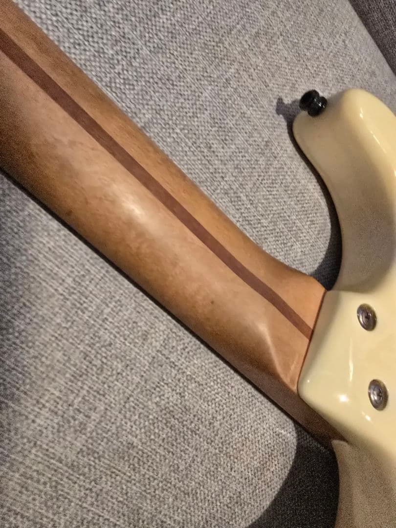 ESP カスタムオーダー エレキギター