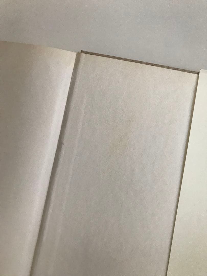 Irving Penn アーヴィング・ペン PASSAGE 写真集