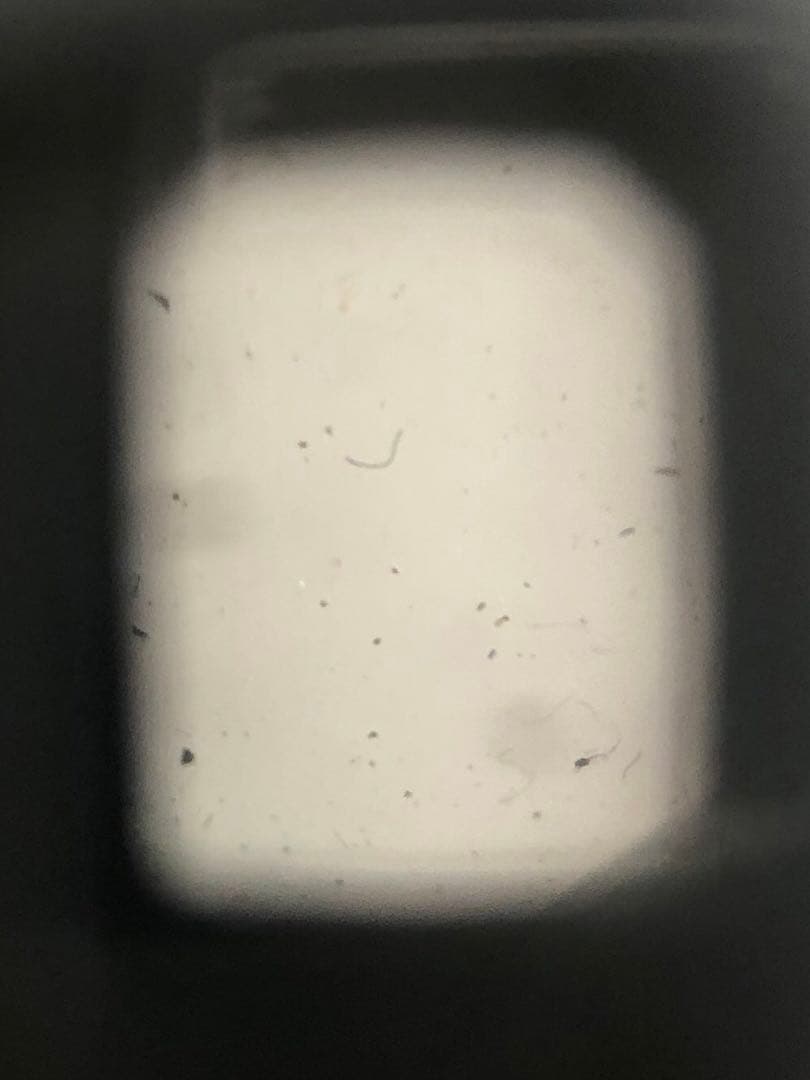 フィルムカメラ OLYMPUS PEN EE S D.ZUIKO 3cm F2.8