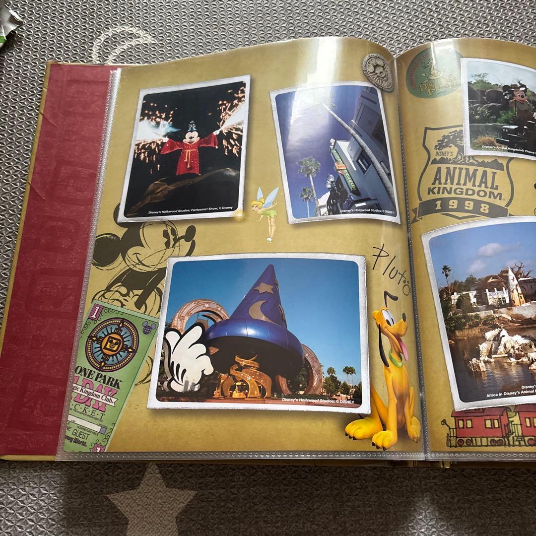 ディズニーワールド　限定ファイル