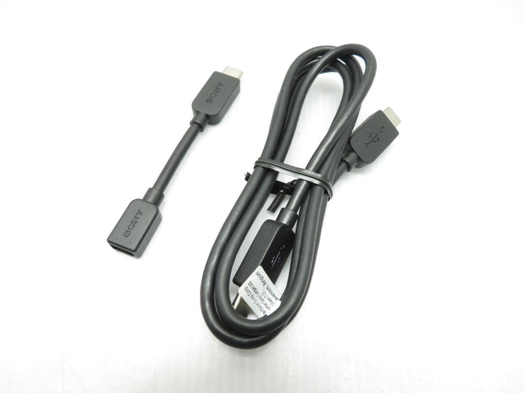 SONY ソニー モバイルプロジェクター MP-CD1 動作確認済み ケース付き