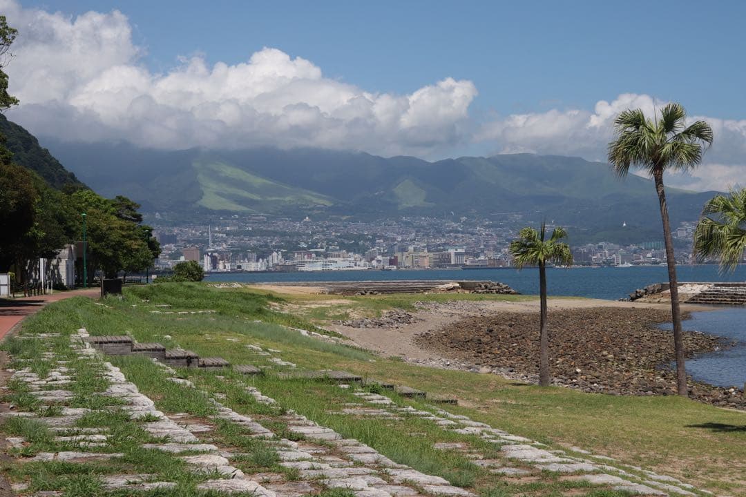 ★ OLYMPUS OM-1 + ★ MACRO50mm