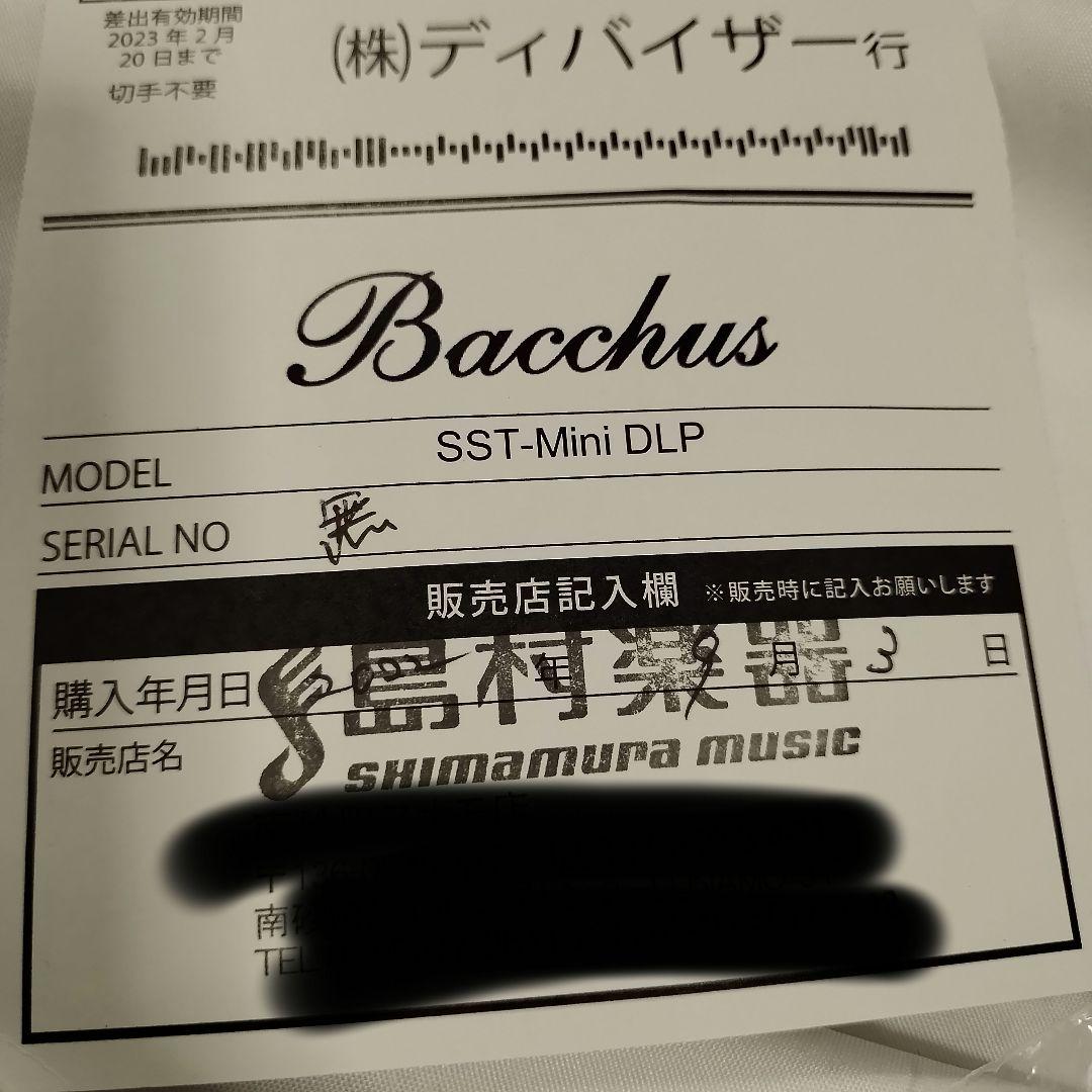 Bacchus SST-Mini DLP ミニエレキギター　バッカス