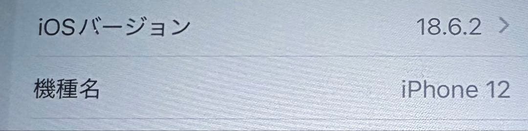 【美品】iPhone12 グリーン 128GB イヤホン ケーブルセット