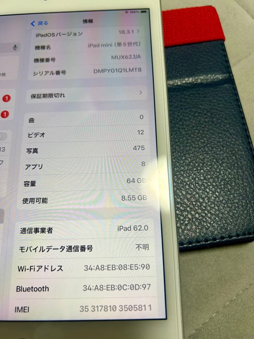 美品 傷無 iPad mini5 64G WiFi Cellular SIMフリ