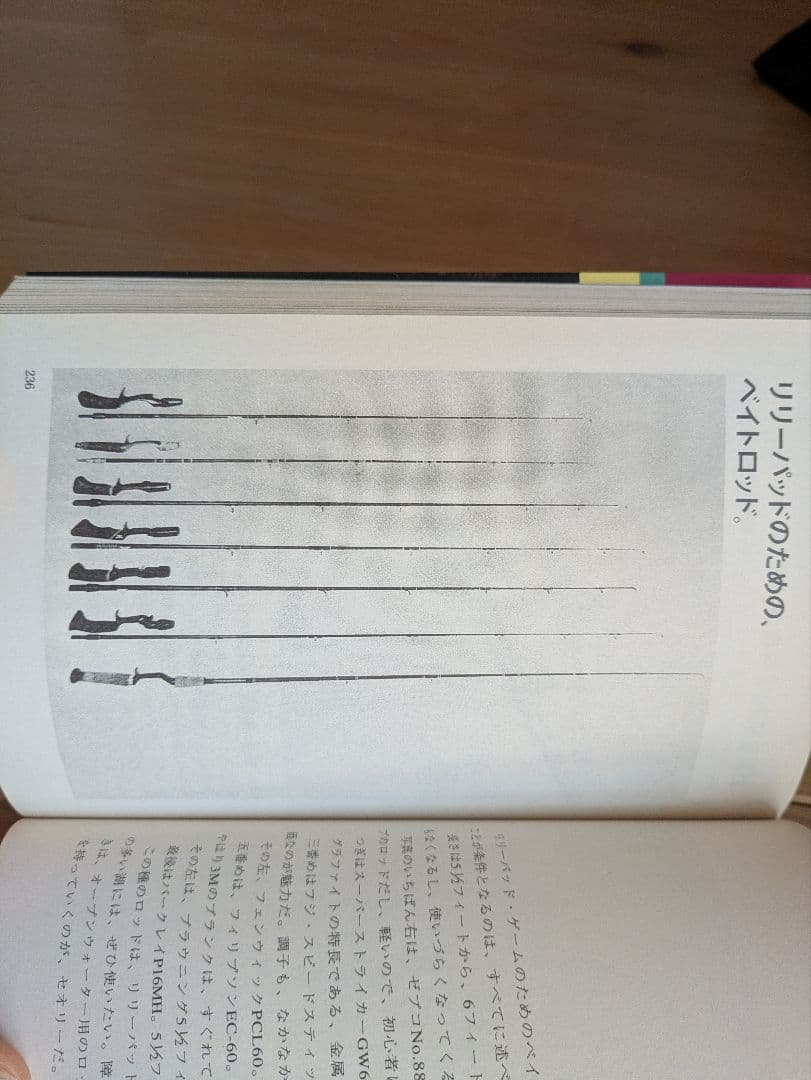 ブラックバス釣りの楽しみ方（バルサ50 トップウォーター バスフィッシング）