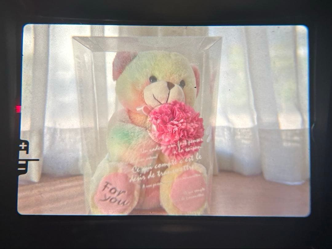 ★ OLYMPUS OM-1N + ★ 標準レンズ50mm