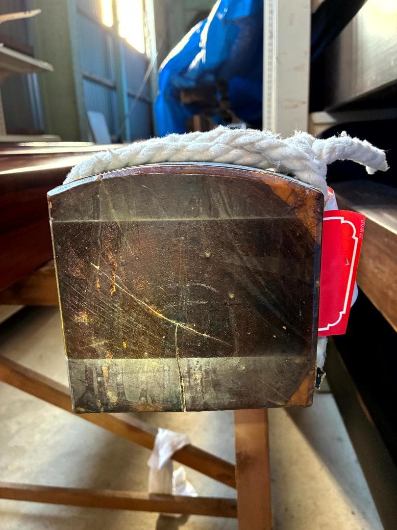 床柱　インドローズ　５寸（15ｃｍ）