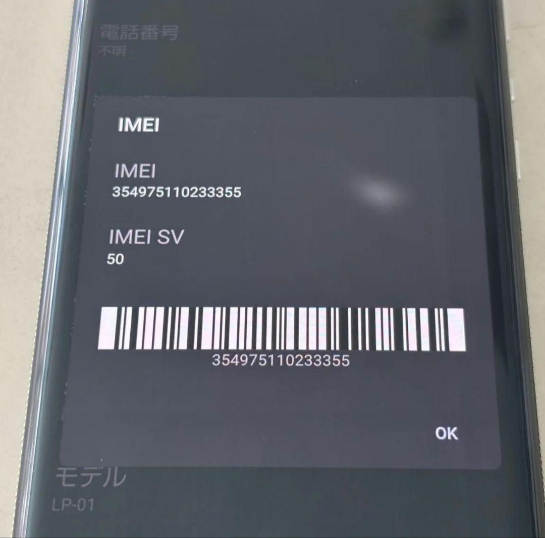 【12GB/256GB】LEITZ Phone 1 ライカシルバー　SIMフリー