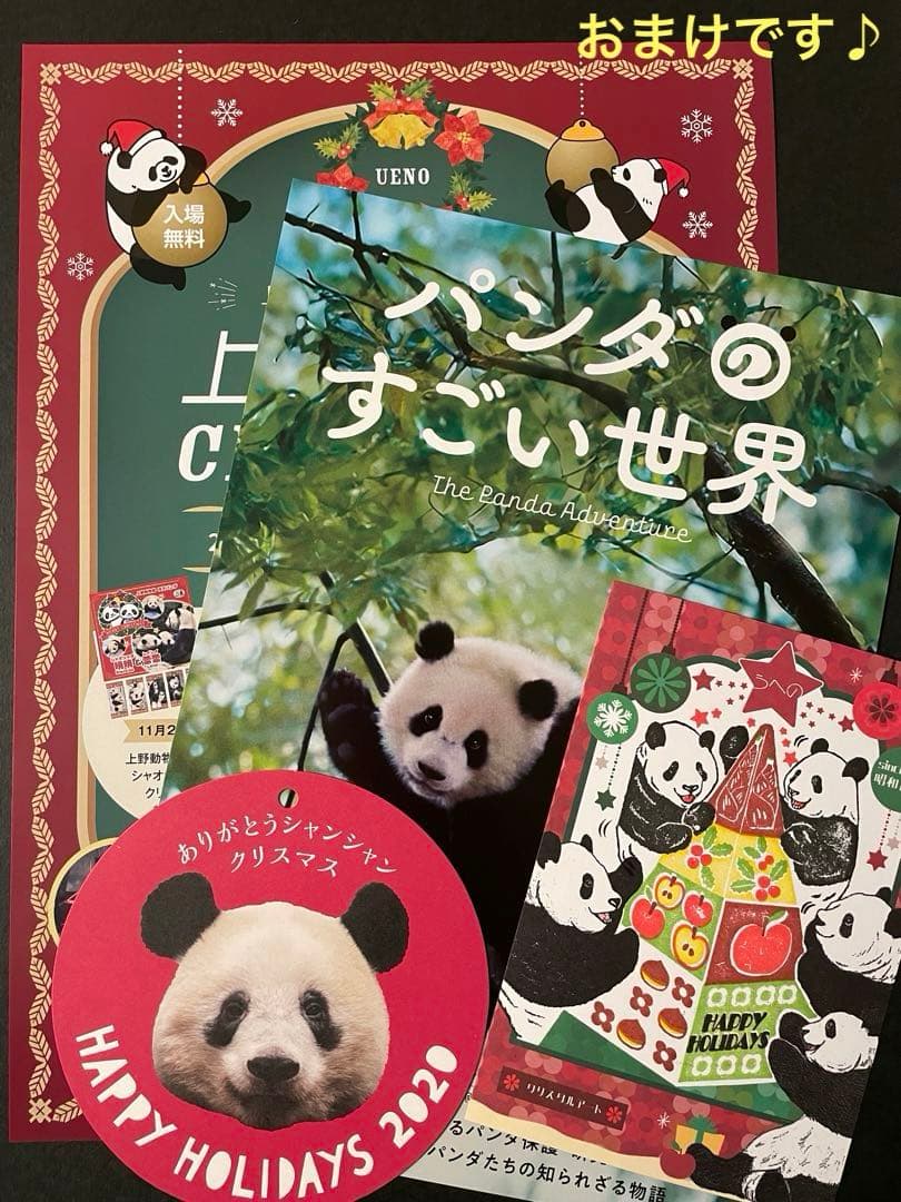 専用　シャンシャン　彩浜　楓浜