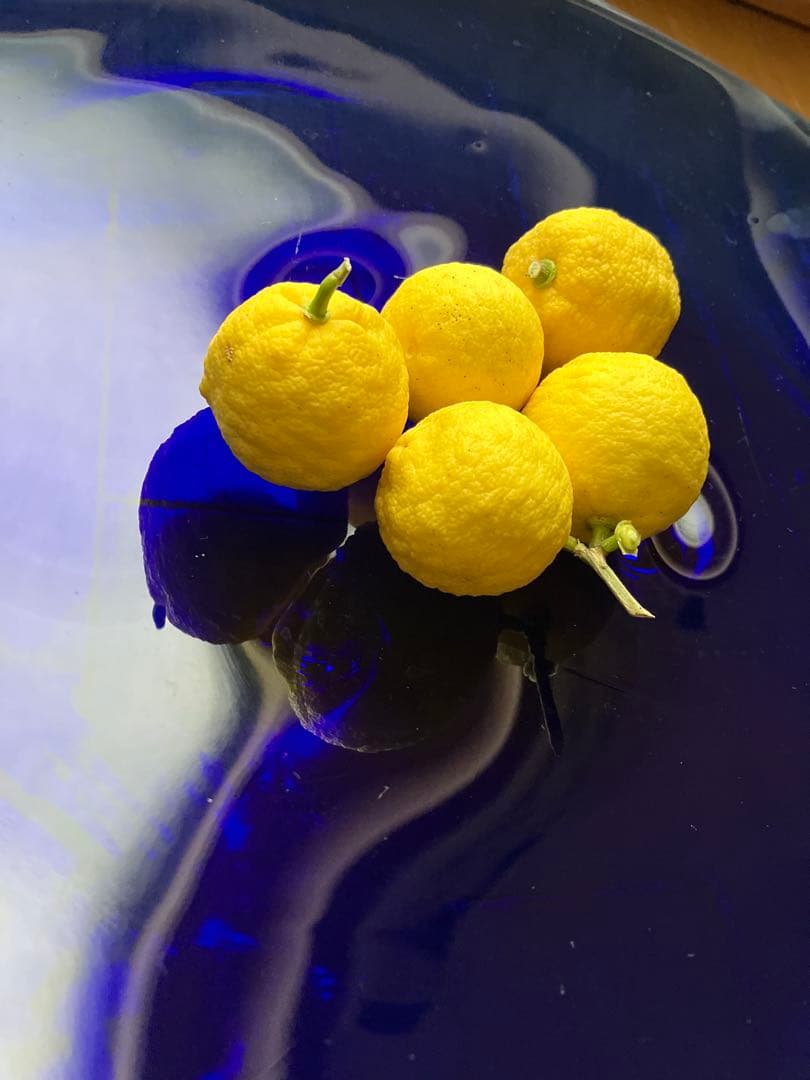 未使用⭐︎国産⭐︎ガラス大皿⭐︎作家⭐︎インテリア⭐︎花器