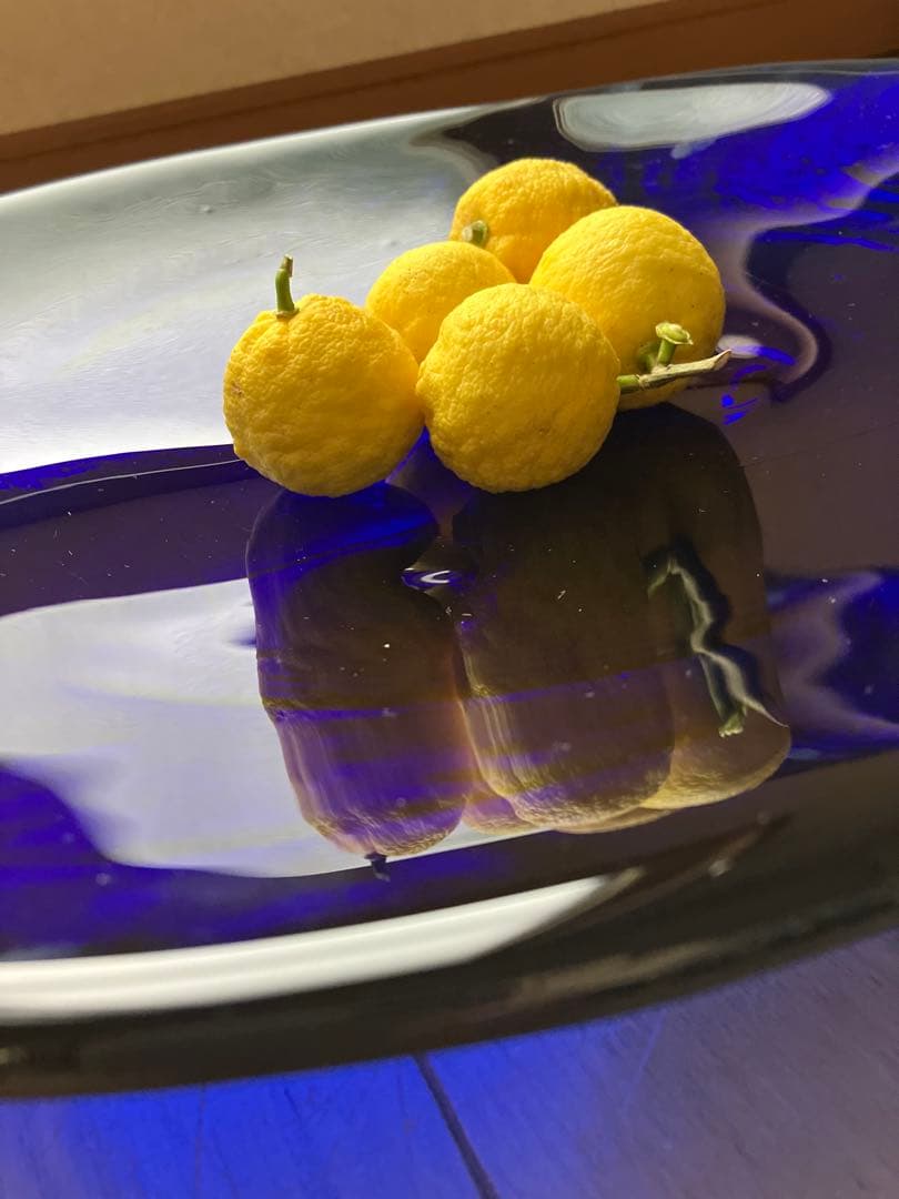 未使用⭐︎国産⭐︎ガラス大皿⭐︎作家⭐︎インテリア⭐︎花器