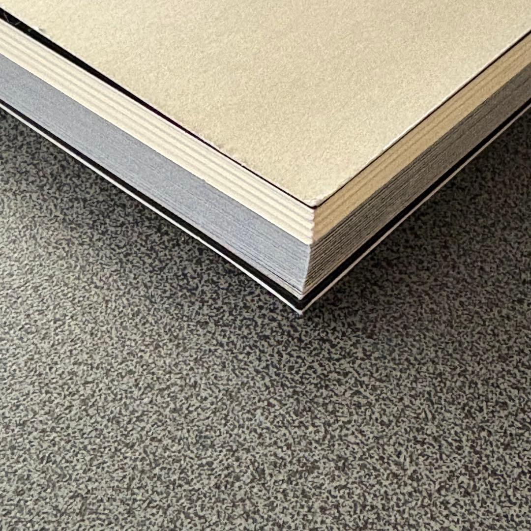 中国・山東省の仏像 飛鳥仏の面影 図録 MIHO MUSEUM