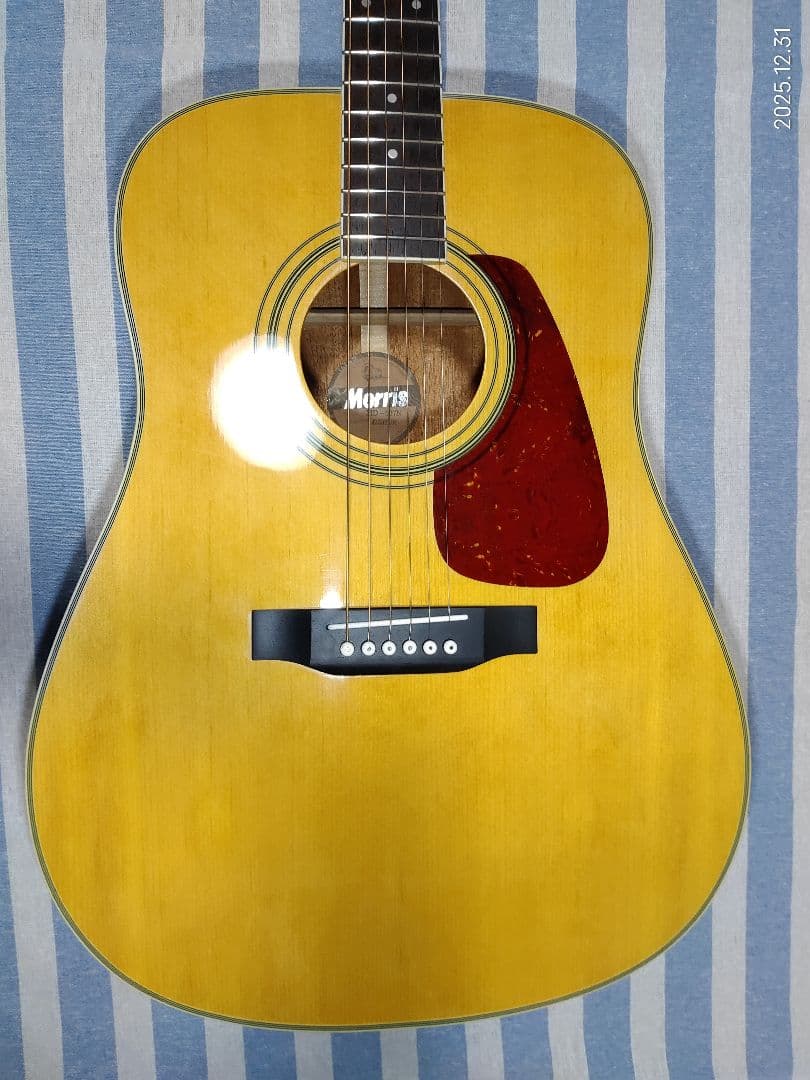 初心者用MORRISのドレッドノートタイプのフォークギターMD-507N美品です