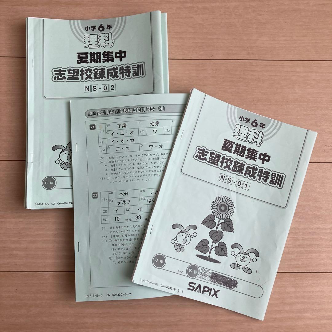 2025年組　サピックス　開成　夏期　志望校別