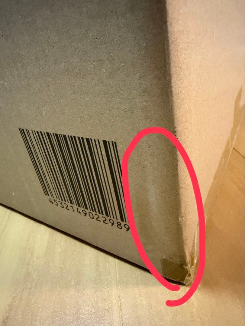 【新品未開封】東宝30cmシリーズ ゴジラ（2023） 少年リック限定版