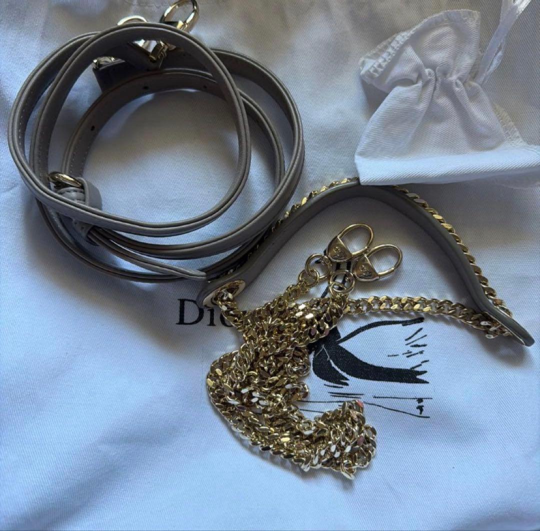 レーディディオールミニ