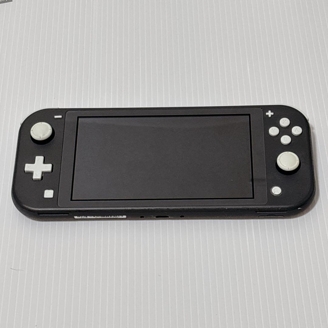 Nintendo switch ライト 本体 ゲーム ニンテンドー　動作品