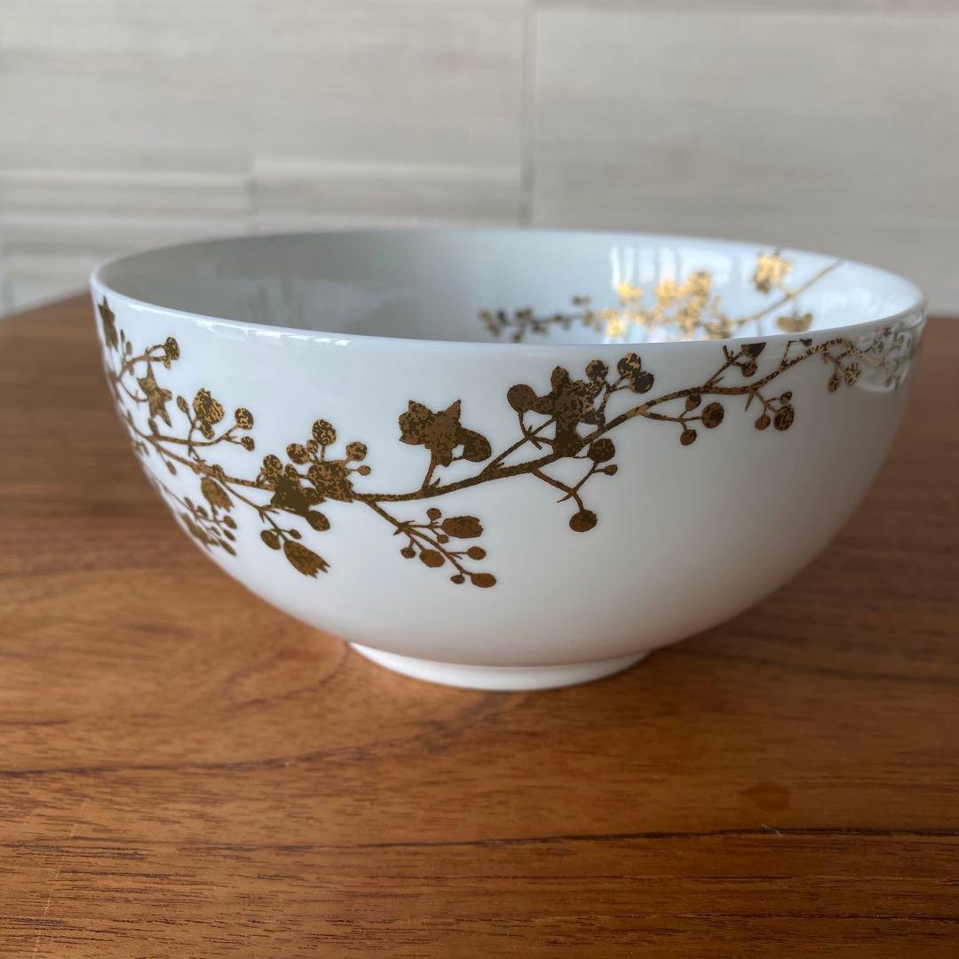 廃盤  ウェッジウッド ヴェラ ジャルダン 4点