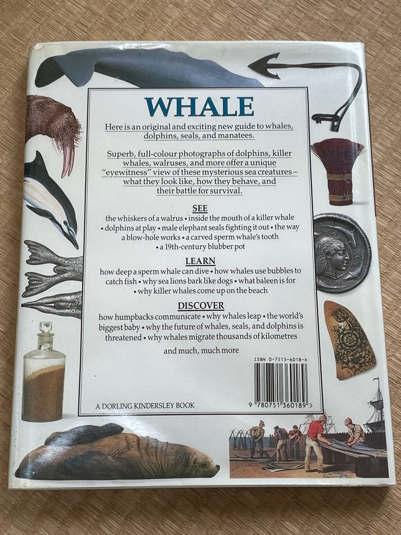 洋書　クジラの本　EYEWITNESS GUIDES シリーズ　WHALE