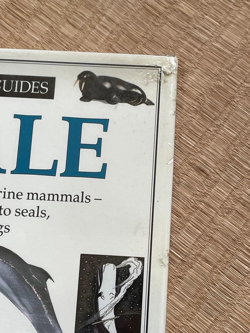 洋書　クジラの本　EYEWITNESS GUIDES シリーズ　WHALE