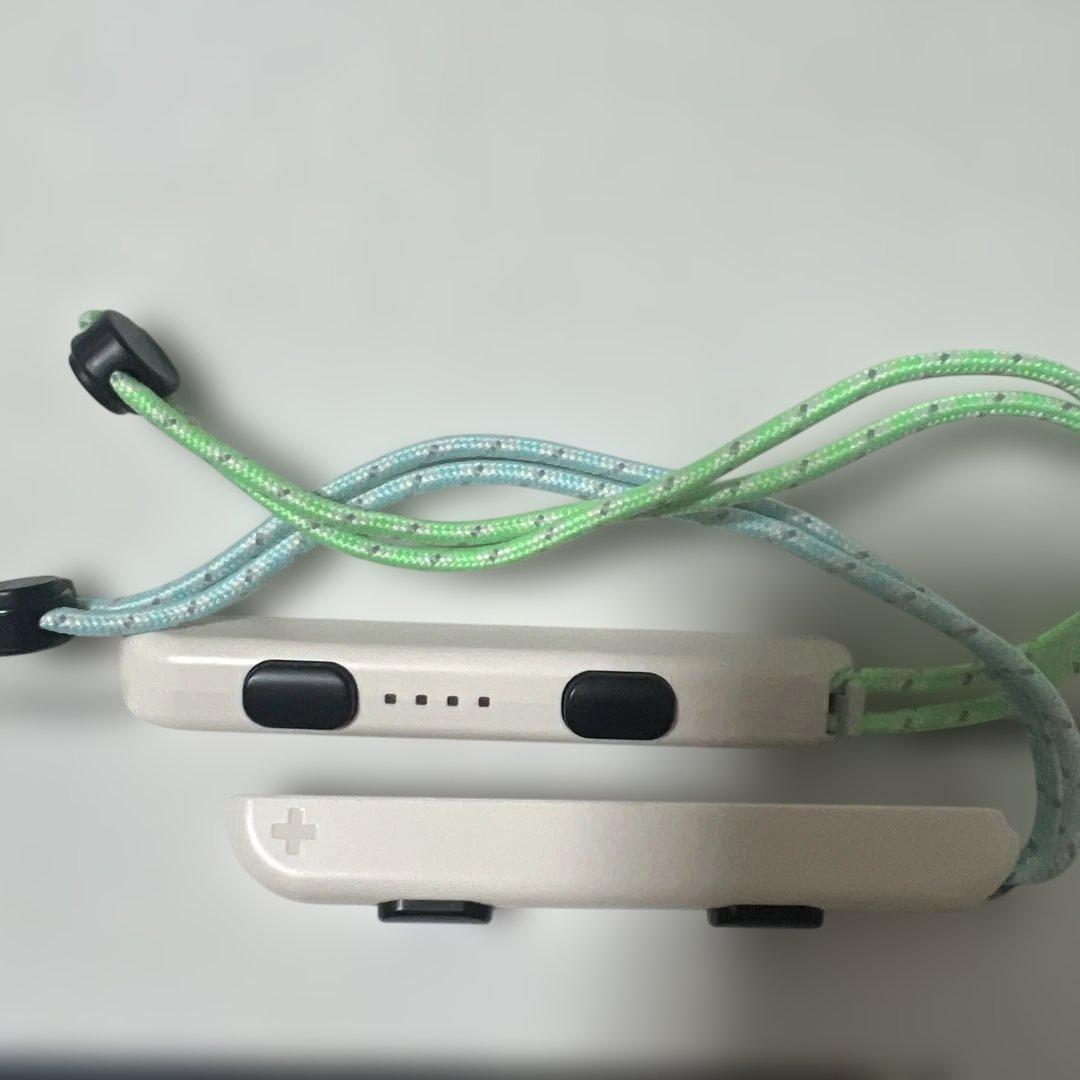 Nintendo Switch アイスブルー/ミントグリーン どうぶつの森本体