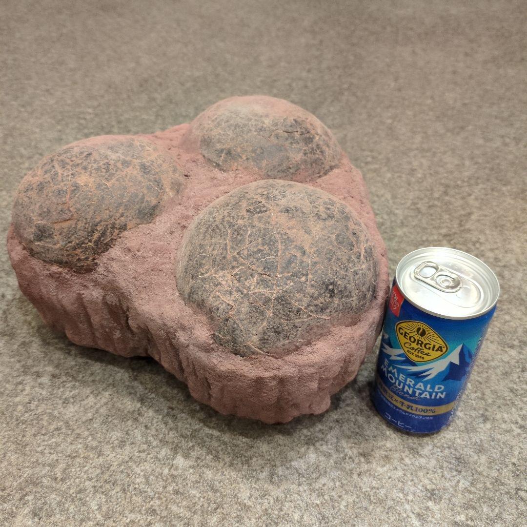 (貴重)　恐竜ハドロサウルスの卵化石（3個）　中国　補修あり