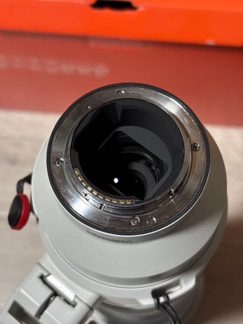 ソニー　SONY FE 200-600mm F5.6-6.3 G OSS