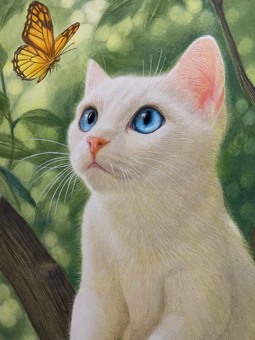色鉛筆画A4白猫36