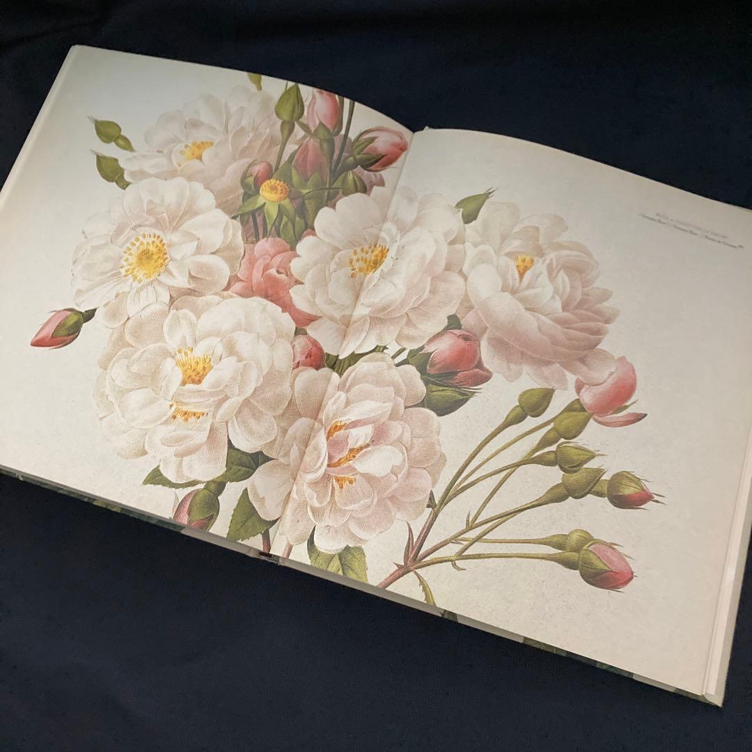 期間限定価格　美品洋書　REDOUTEルドゥーテ画集　ローズ　ボタニカルアート