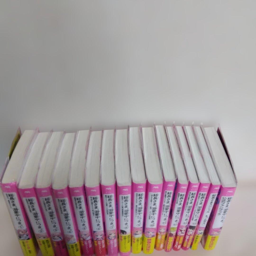 総長様は溺愛中につき 全14巻+2冊セット