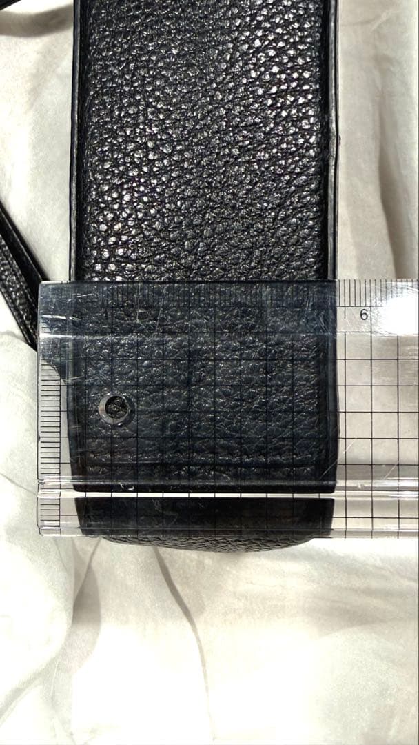 COACH ショルダーバック カメラバッグ 気分で値下げします！