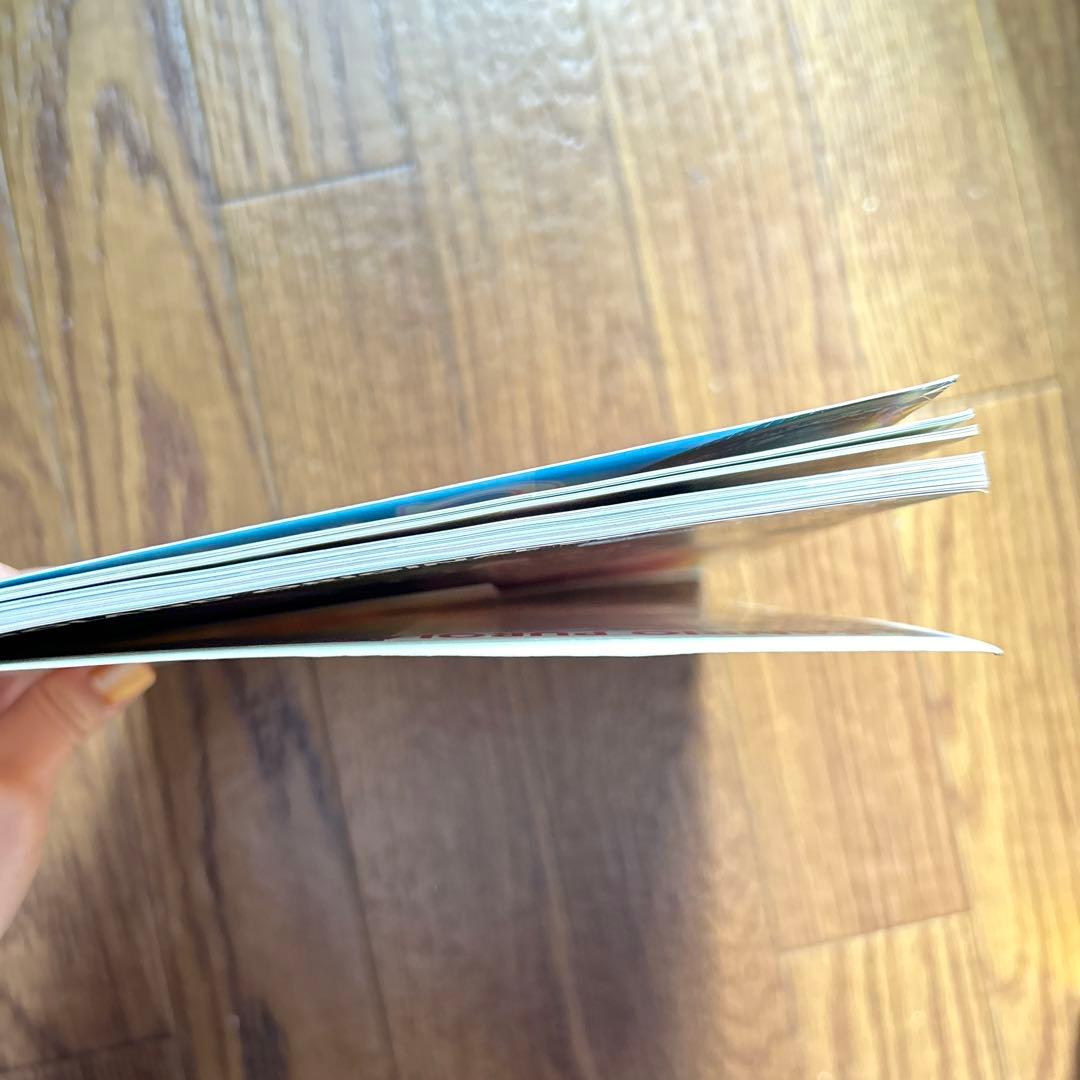 レア　平成レトロ　サンリオ　サンリオピューロランドガイドブック