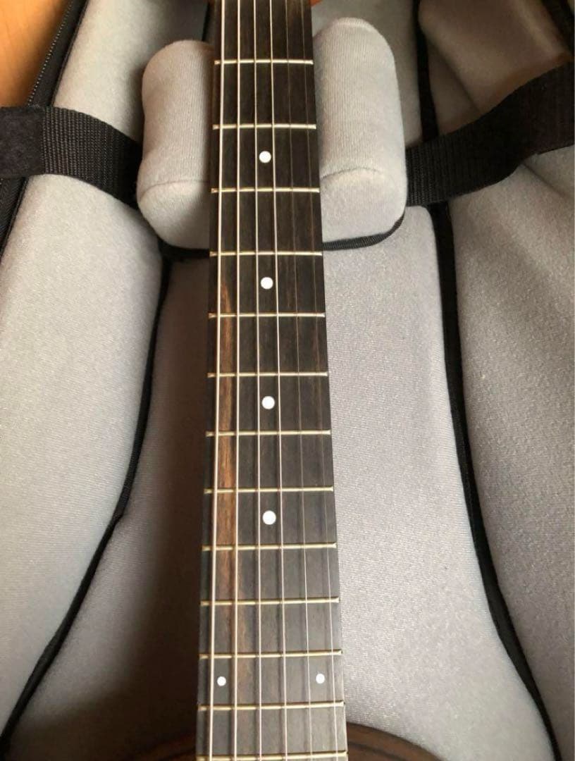 Sheeran by Lowden W01 ローデン　エドシーラン