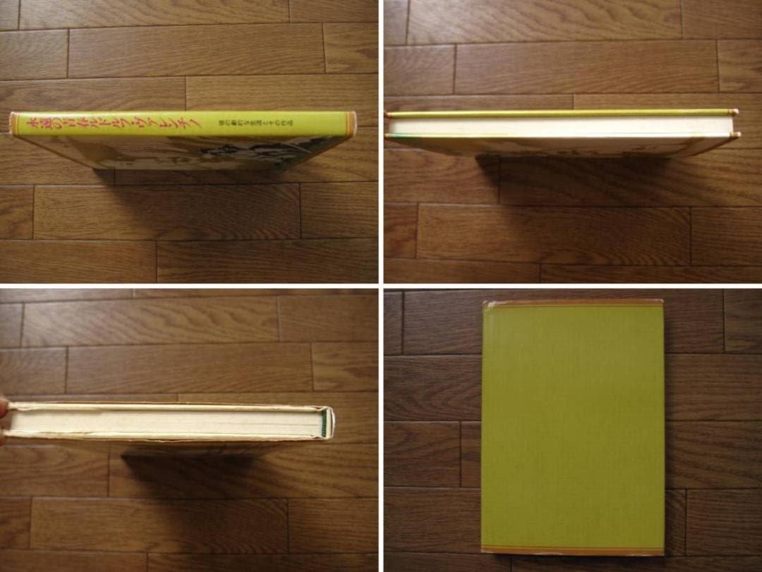 永遠の青春 ルドルフ・ヴァレンチノ　限定版　Limited Edition