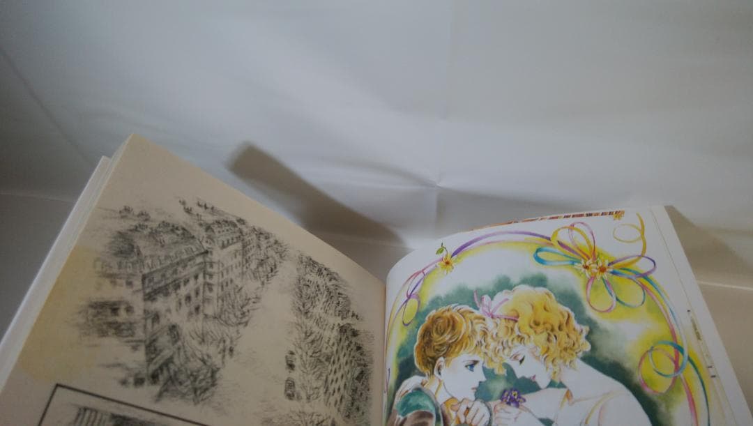 【中古　全17巻セット】萩尾望都作品集〔第２期〕 全17巻セット プチコミックス