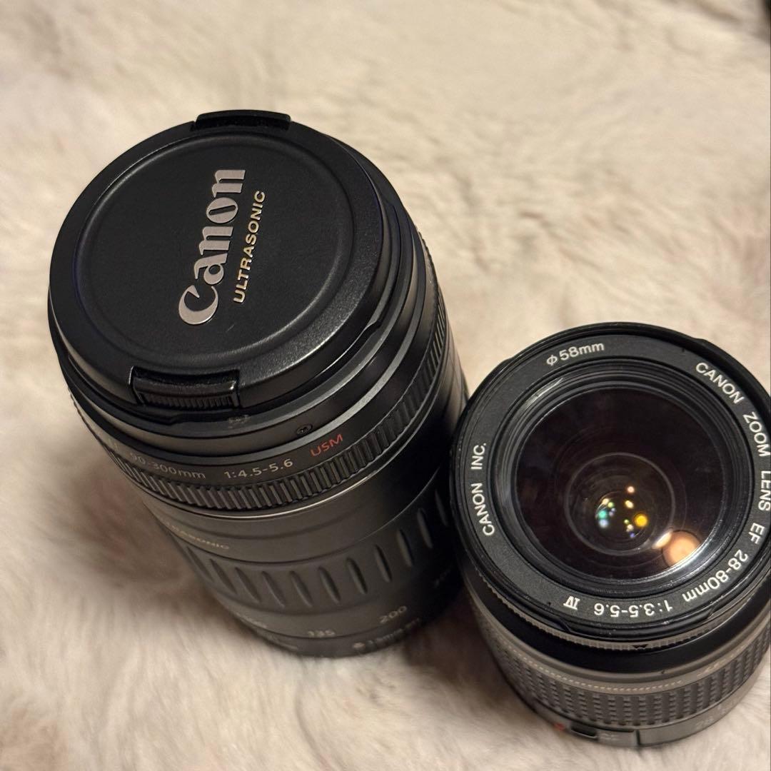 Canon EOS Kiss X5 ダブルズームキット