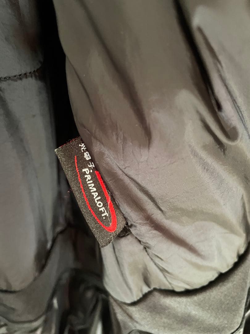 GOLDWIN／スウェーデンナショナルチーム支給モデル スキーウェア Lサイズ