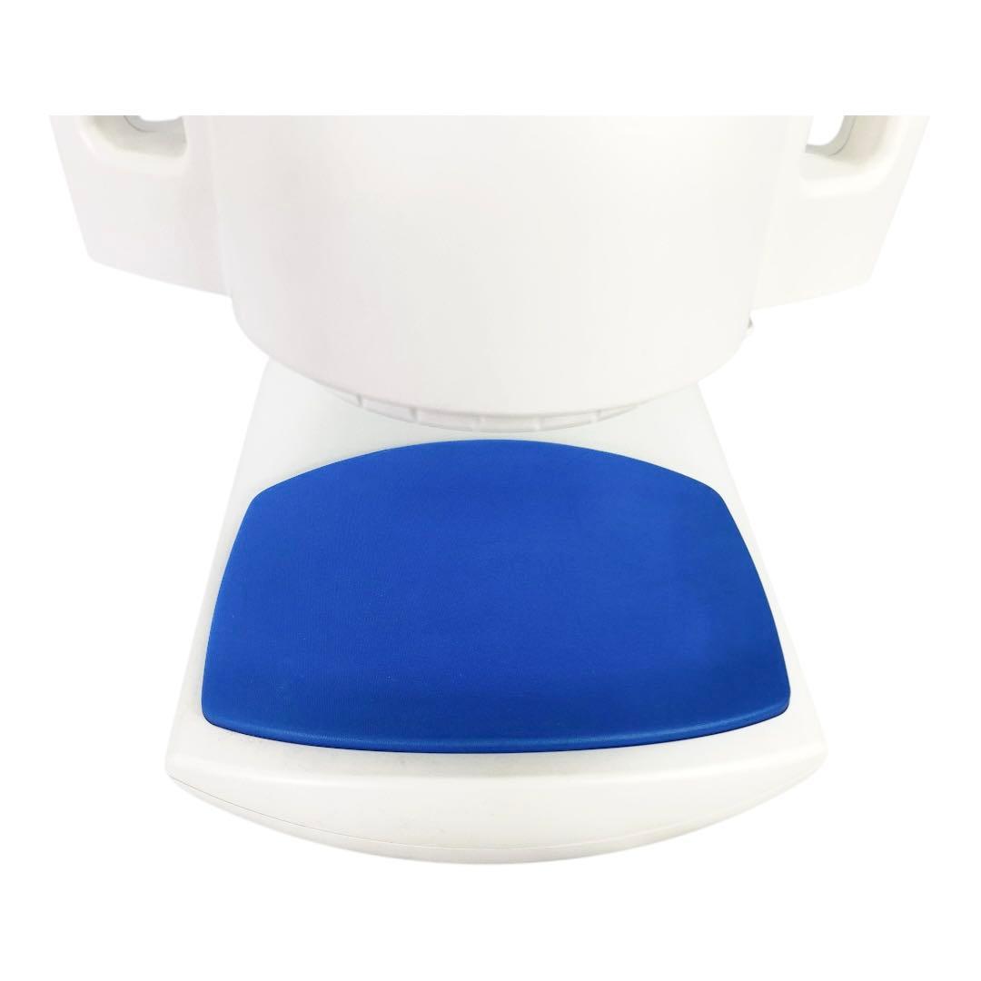 ✨美品✨ BIOPTRON PRO1 バイオプトロン プロ1 光線治療器