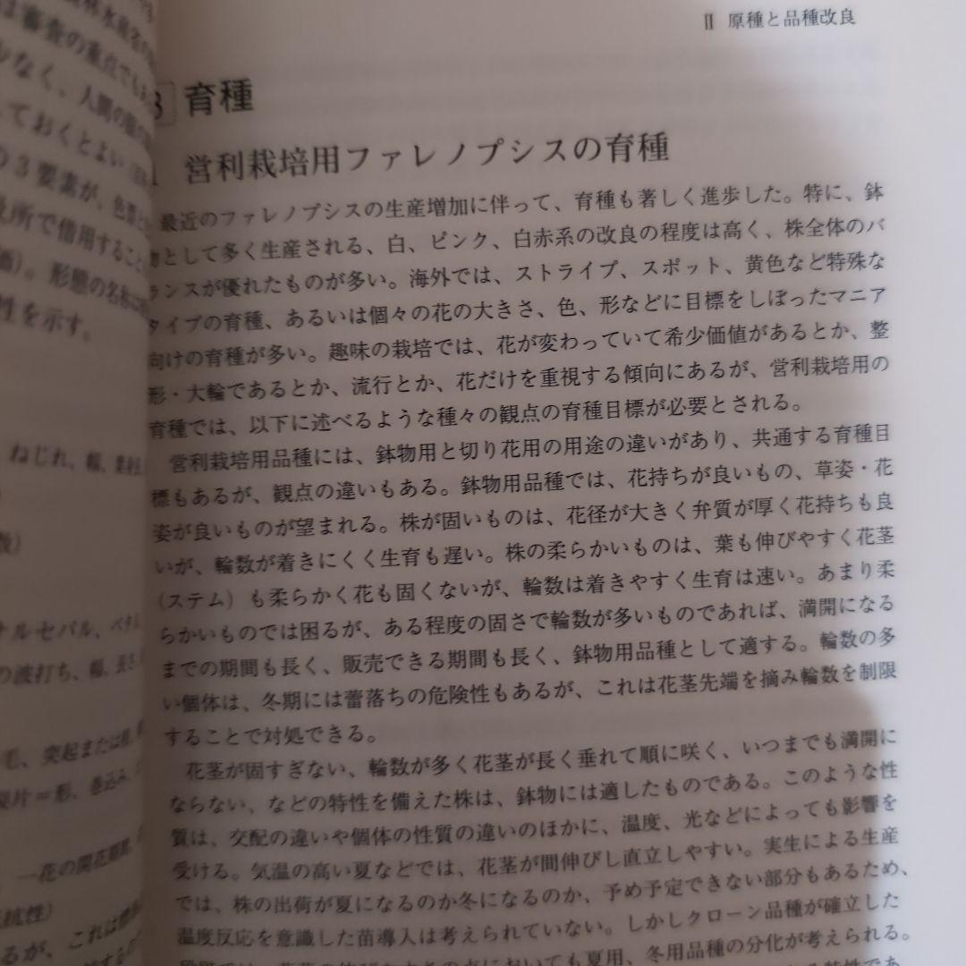 【レア】ファレノプシス （花専科・育種と栽培） 市橋正一／編著