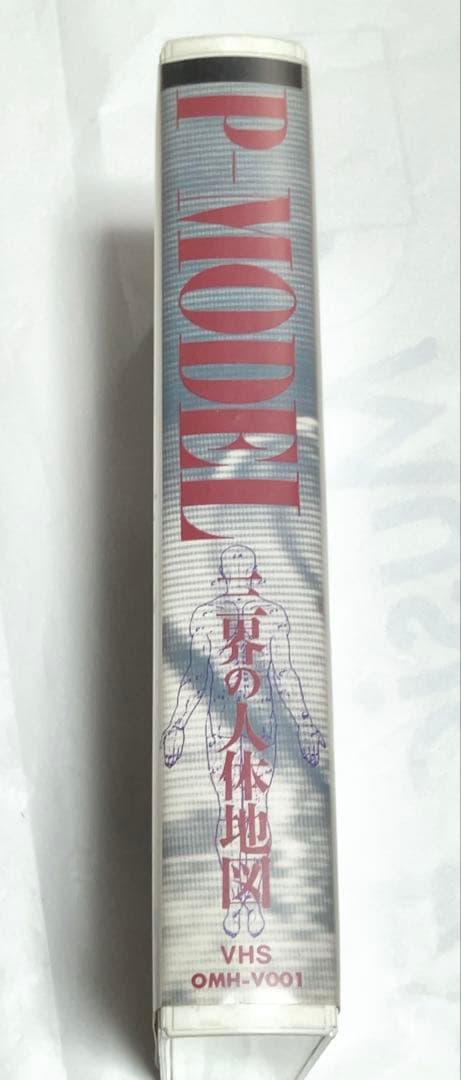 P-MODEL 凍結前9点セット全て美品　平沢進