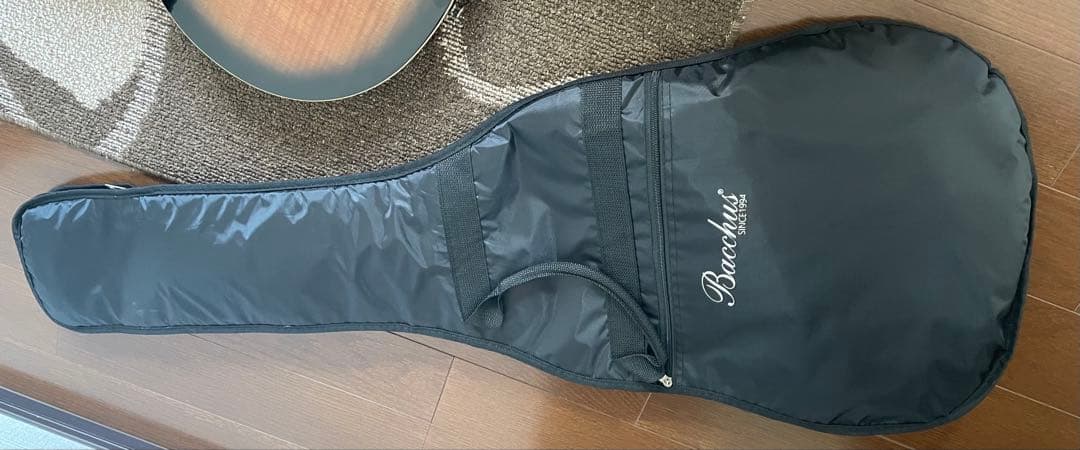 バッカス レスポール Live Road ソフトケース付