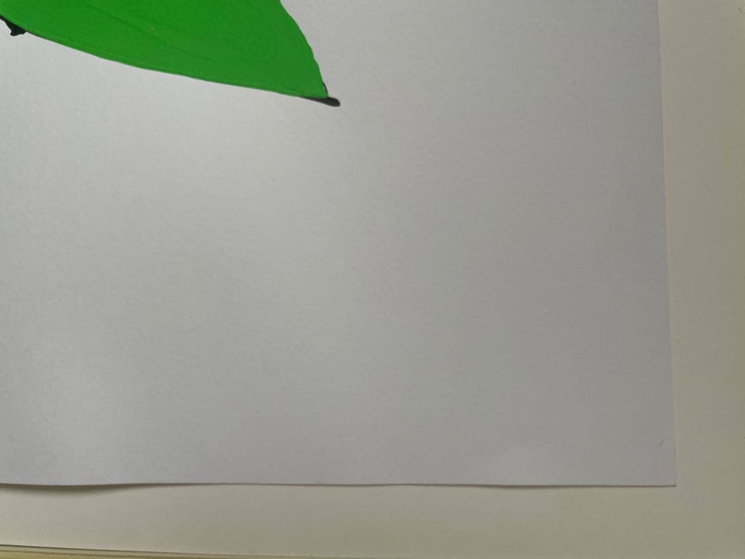 山口一郎 原画　Lサイズ　HANA-green