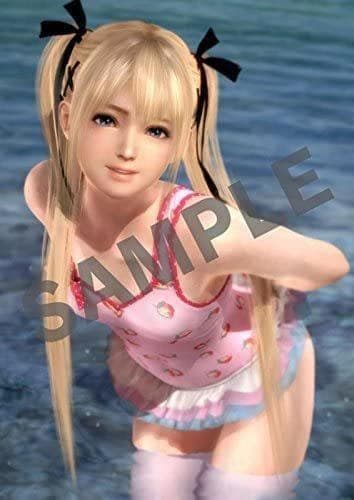 DEAD OR ALIVE5 LAST ROUND ps4 お風呂ポスター全8種