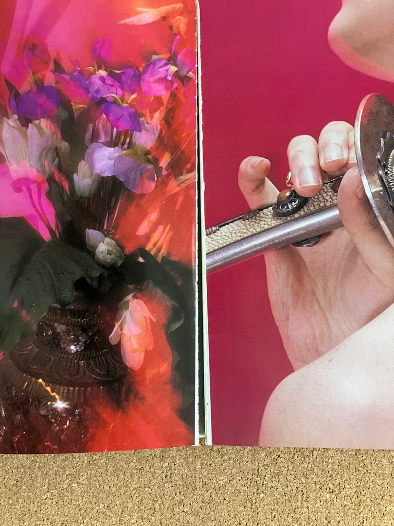 【再値下げ】沢田研二 PARADIS 早川タケジ