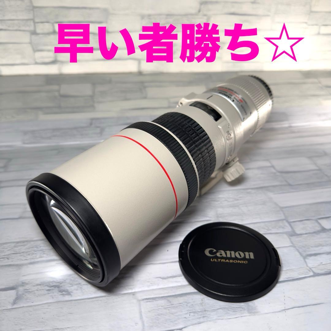 Canon EF400mm F5.6L 超望遠レンズ