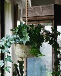 【新品未使用】完売品　KAT&ROGER ハンギングプランター フラワーポット