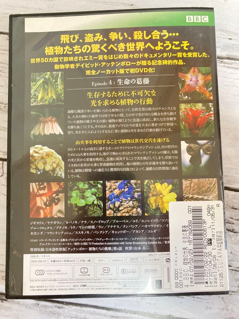 BBC 植物の世界 DVD 5枚セット　まとめ売り