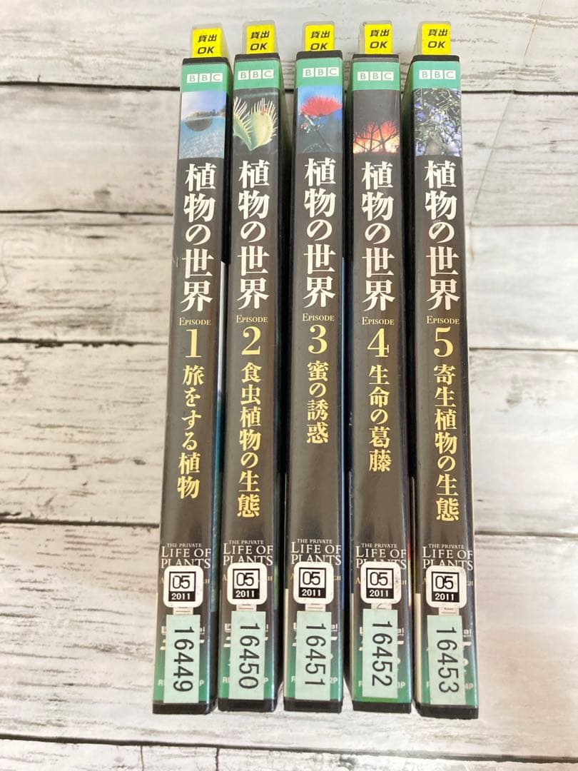BBC 植物の世界 DVD 5枚セット　まとめ売り